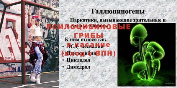 a pvp Каменногорск