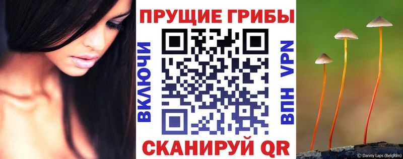 hydra маркетплейс  Кемь  Псилоцибиновые грибы MAGIC MUSHROOMS 